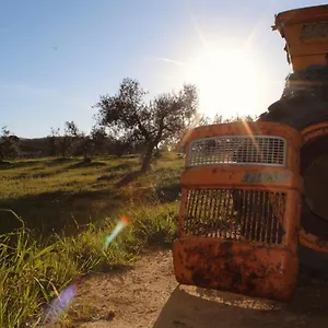 Agricampeggio La Piaggia - Alloggio per agriturismo